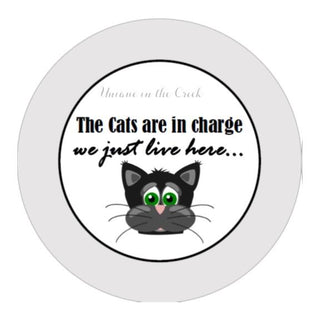 VINYL DECAL | THE CATS ARE IN CHARGE | PETS| EVERYDAY