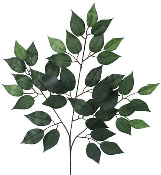 WREATH ACCENT | 23"L FICUS SPRAY | TT GREEN | FG505430