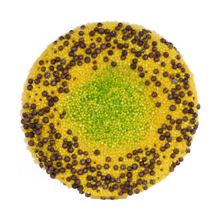 FLOWER CENTER | 7" DIAMETER | REALISTIC CENTER | MD1346