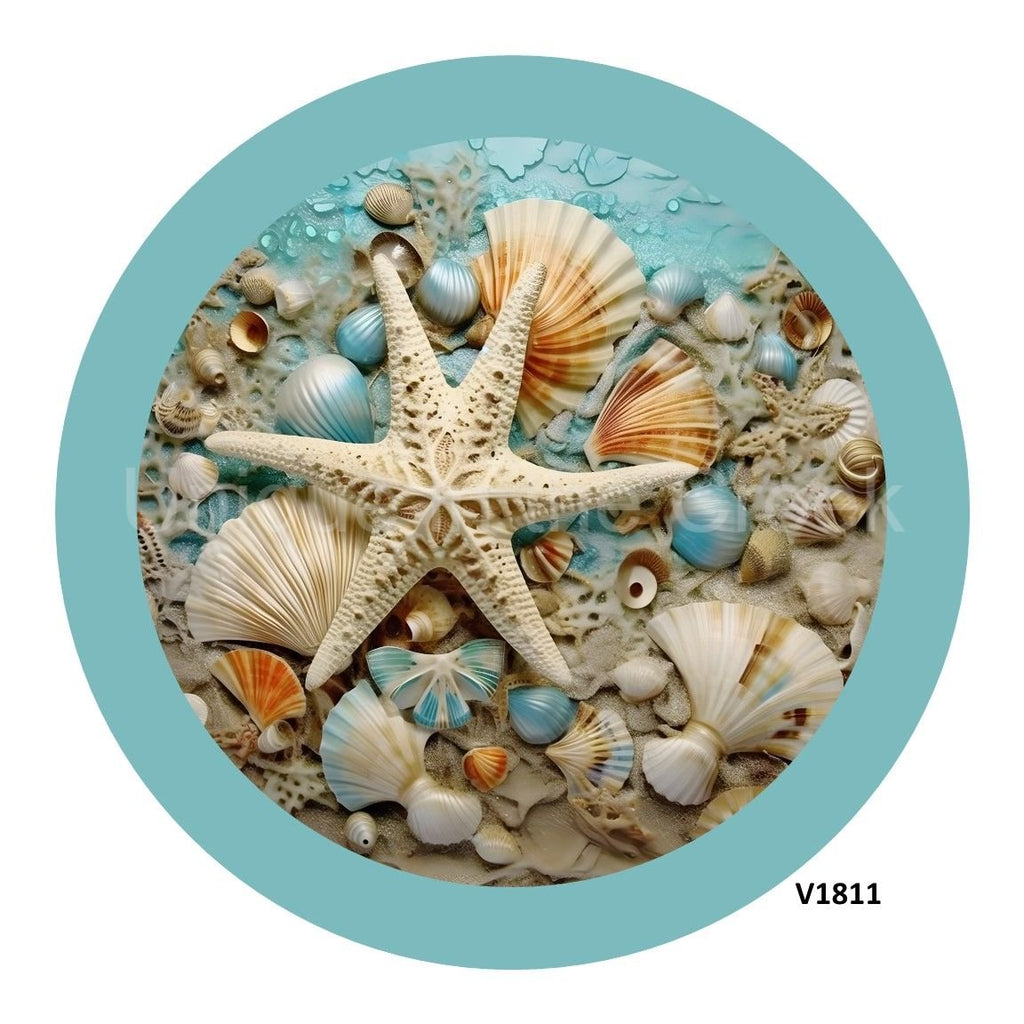 VINYL DECAL | STARFISH | SEA SHELLS | OCEAN | SUMMER